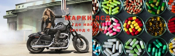 сатива Баксан