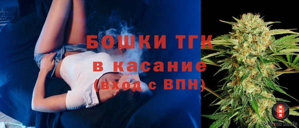 сатива Баксан