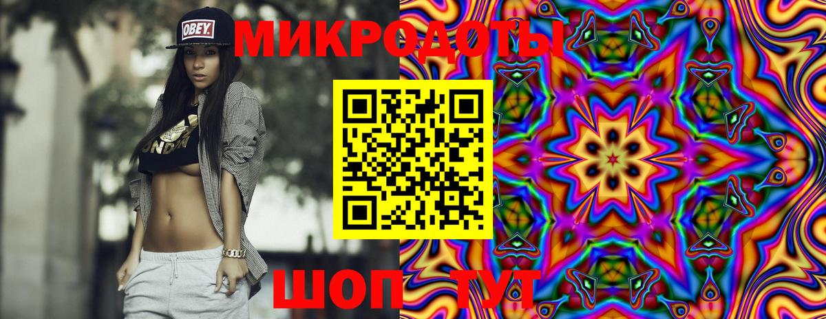 Псилоцибиновые грибы Psilocybe Барабинск