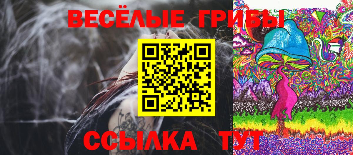 Барабинск  Псилоцибиновые грибы Magic Shrooms  Галлюциногенные грибы Psilocybine cubensis  Вход с VPN 